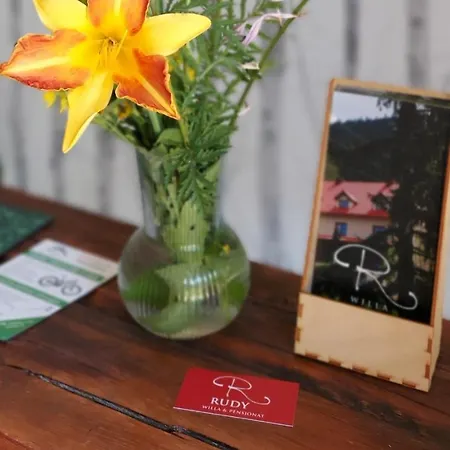 Rudy Отель типа 