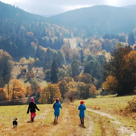 Rudy 3* Строне-Слёнске