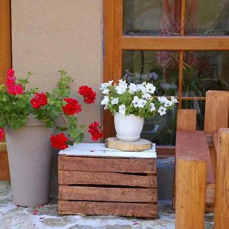 Rudy Отель типа 