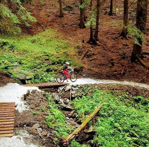 Bed & Breakfast Rudy Stronie Slaskie