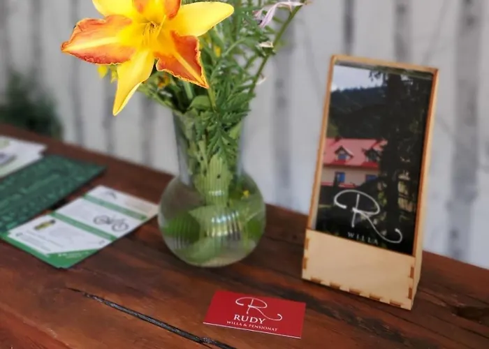 Rudy Bed & Breakfast Stronie Slaskie